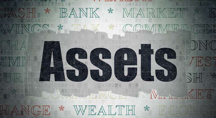 a graphic of the word asset in large lettering