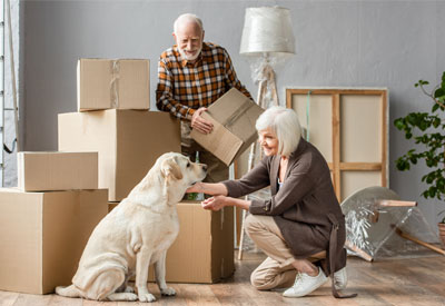 Senior couple relocating with their dog amidst packed boxes, highlighting considerations for estate planning, will updates, domicile changes, and multi-state property management.