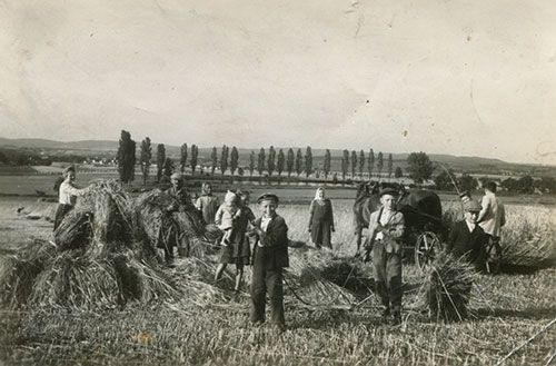 Old photo of children and their parents harvesting on a farm