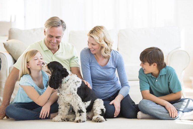 a family of four petting the family pet