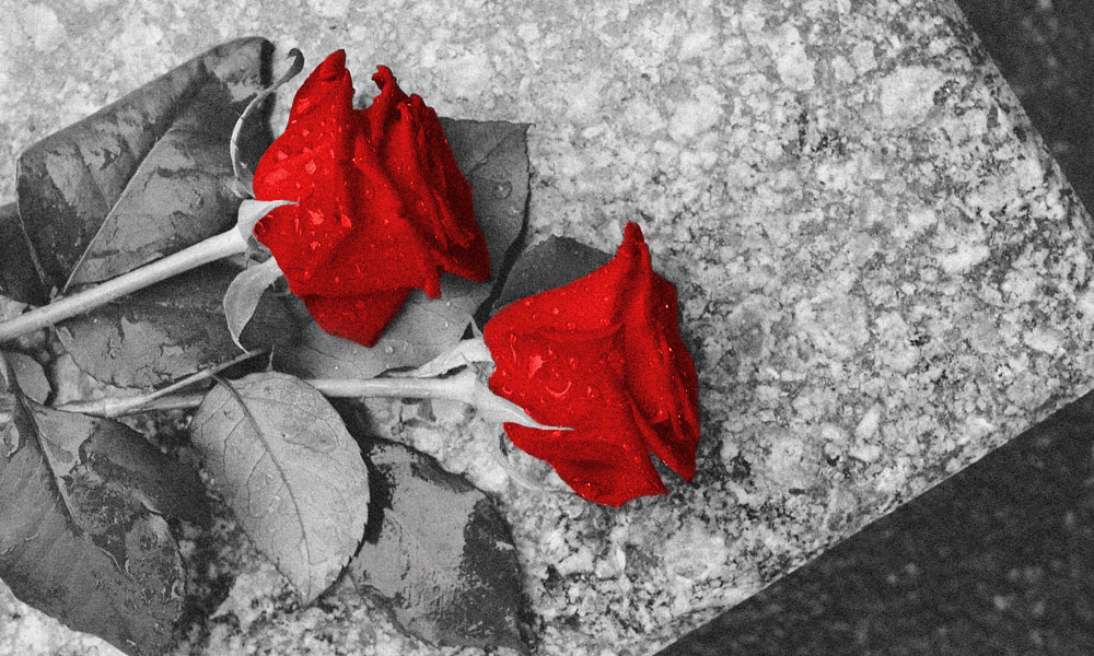 Two vibrant red roses with green leaves lie on a textured gray stone surface, covered in raindrops.