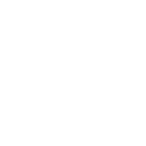 Crypto icon